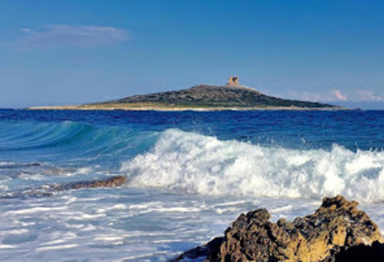 Appartamento 60 Mq A 800 Mt Dalla Spiaggia 卡帕奇 外观 照片